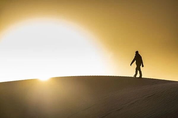 Man walking in backlight on a sand dune, Tenere desert, Niger, West Africa, Africa
