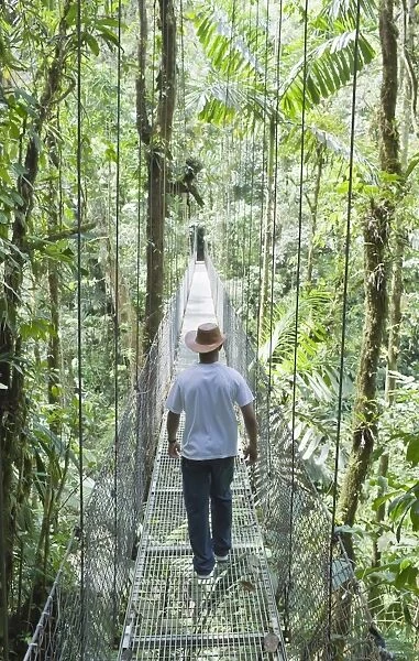 Man walking across hanging bridge in rainforest, , La Fortuna, Arenal, Costa Rica
