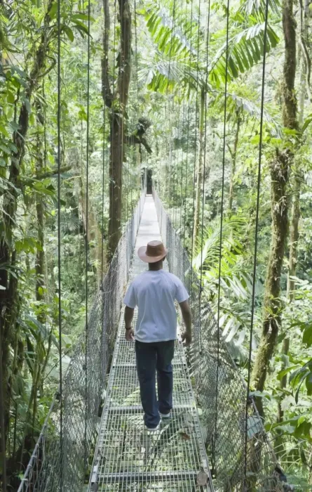 Framed Print : Man walking across hanging bridge in rainforest, , La Fortuna, Arenal, Costa Rica Framed Print : Man walking across hanging bridge in rainforest, , La Fortuna, Arenal, Costa Rica