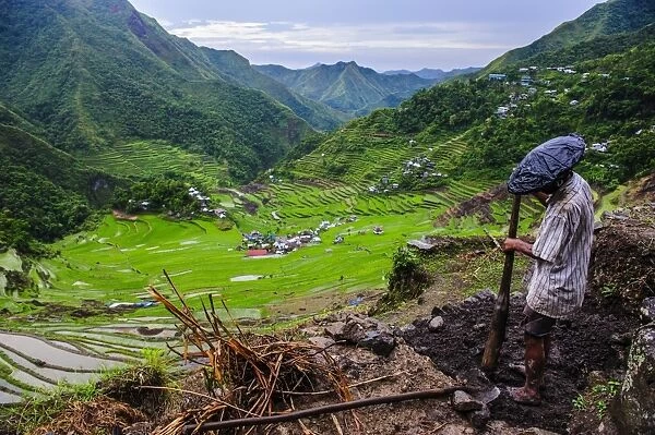 Man working in the Batad rice terraces, part of the UNESCO World Heritage Site of Banaue, Luzon, Philippines, Southeast Asia, Asia