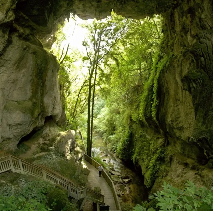 Framed Print : Mangapohue Natural Bridge, Waitomo karst, North Island, New Zealand, Pacific Framed Print : Mangapohue Natural Bridge, Waitomo karst, North Island, New Zealand, Pacific