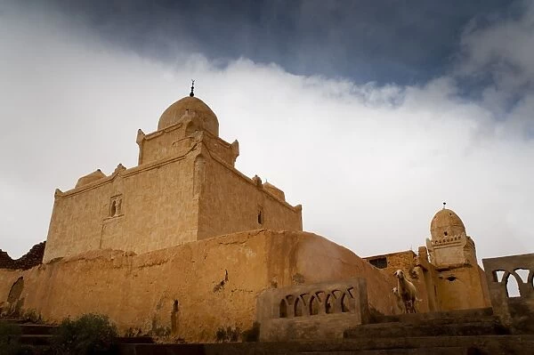 Marabu, city of Figuig, province of Figuig, Oriental Region, Morocco, North Africa
