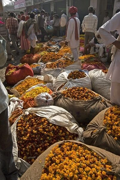 Marigolds tied up in cloth and sacking ready for sale, flower market, Bari Chaupar