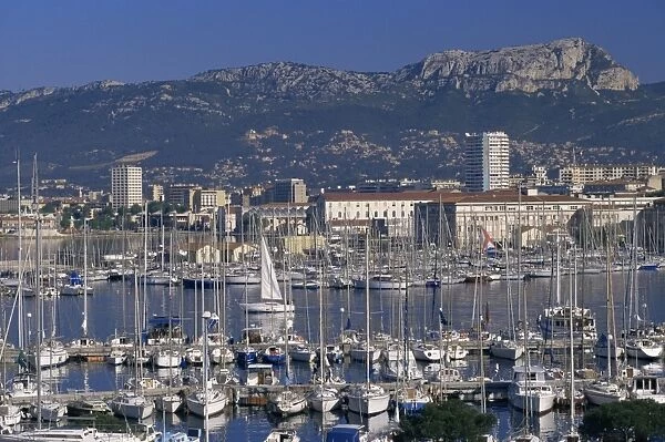 Marina and city centre, Toulon, Var, Cote d Azur, Provence, France