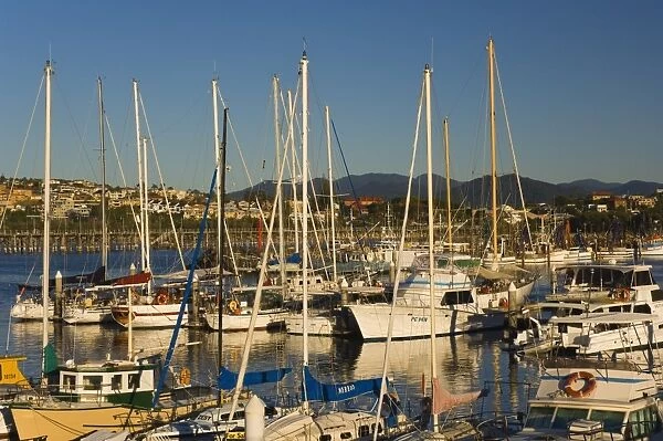 Marina, Coffs Harbour, New South Wales, Australia, Pacific