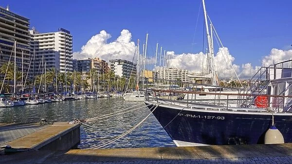 Marina of Palma de Mallorca, Majorca, Balearic Islands, Spain, Mediterranean, Europe