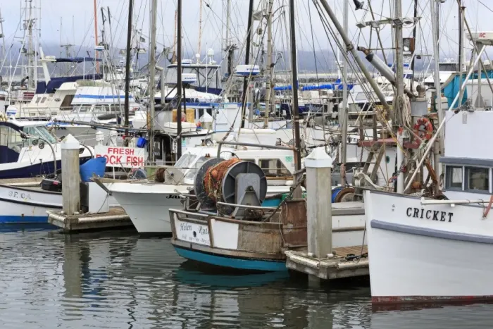 Framed Print : Marina in Pillar Point Harbor, Half Moon Bay, California, United States of America, North America Framed Print : Marina in Pillar Point Harbor, Half Moon Bay, California, United States of America, North America