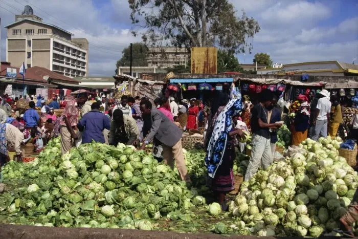 Framed Print : Market, Arusha, Tanzania, East Africa, Africa Framed Print : Market, Arusha, Tanzania, East Africa, Africa