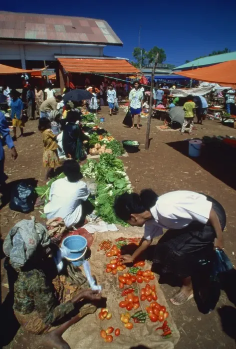 Framed Print : Market at Soe, western Timor, Timor, Southeast Asia, Asia Framed Print : Market at Soe, western Timor, Timor, Southeast Asia, Asia