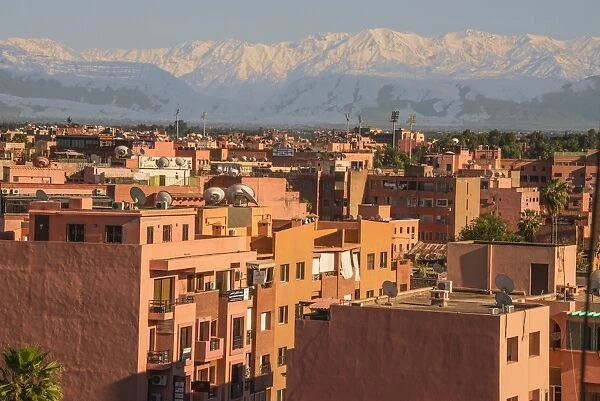 Marrakech panorama, with Atlas Mountains in the backgroud, Marrakesh, Morocco, North Africa