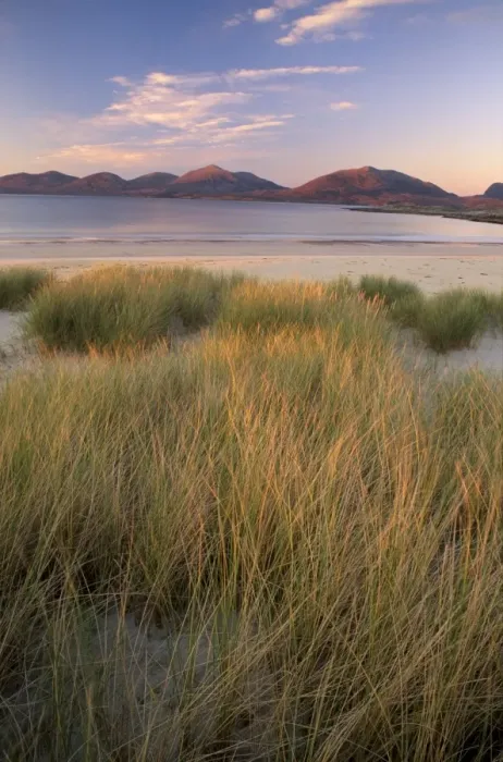 Framed Print : Marram grass and beach near Luskentyre Framed Print : Marram grass and beach near Luskentyre
