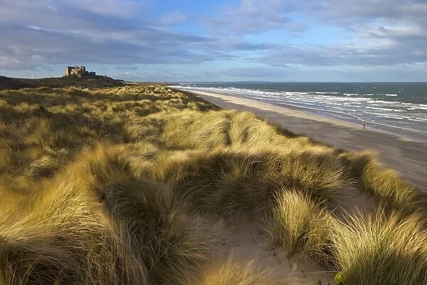 Marram grass, beach and surf with Bamburgh Castle in distance, Bamburgh, Northumberland, England, United Kingdom, Europe