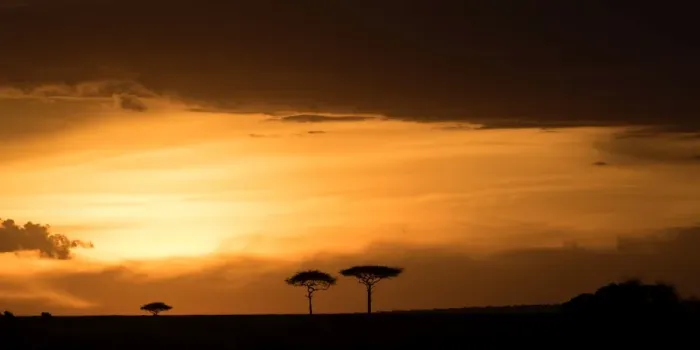 Framed Print : Masai Mara at sunset, Kenya, East Africa, Africa Framed Print : Masai Mara at sunset, Kenya, East Africa, Africa