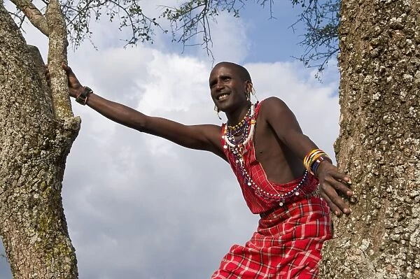 Masai searching for wildlife, Masai Mara, Kenya, East Africa, Africa