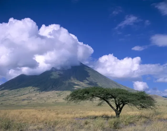 Framed Print : The Masais holy mountain, Tanzania, East Africa, Africa Framed Print : The Masais holy mountain, Tanzania, East Africa, Africa