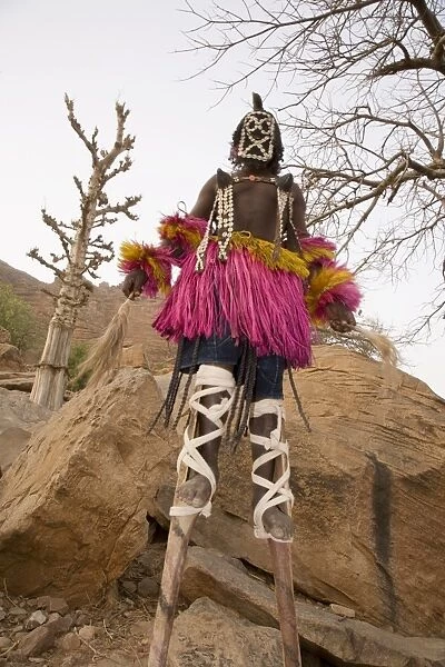 Masked ceremonial Dogon dancer on stilts near Sangha, Bandiagara escarpment