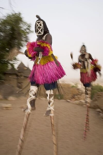 Masked ceremonial Dogon dancers on stilts near Sangha, Bandiagara escarpment