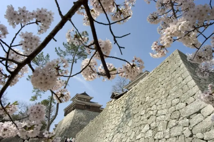 Framed Print : Matsuyama castle Framed Print : Matsuyama castle