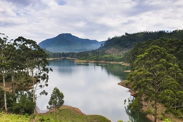 Maussakele Reservoir between Dalhousie and Hatton, Nuwara Eliya District of the Central Highlands, Sri Lanka, Asia