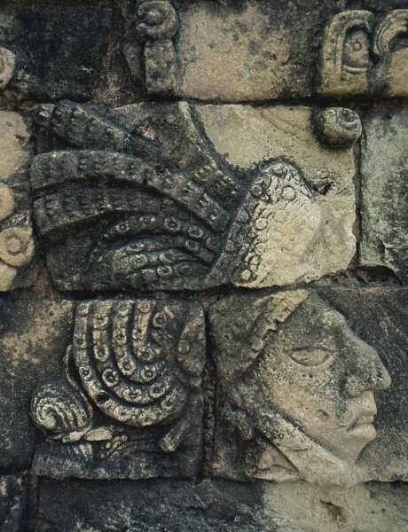 Detail of Maya stone carving at Tikal, UNESCO World Heritage Site, Guatemala