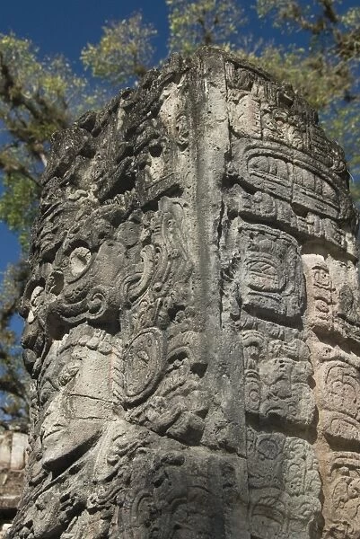 Mayan glyphs on the side of Stela P, West Court, Copan Archaeological Park