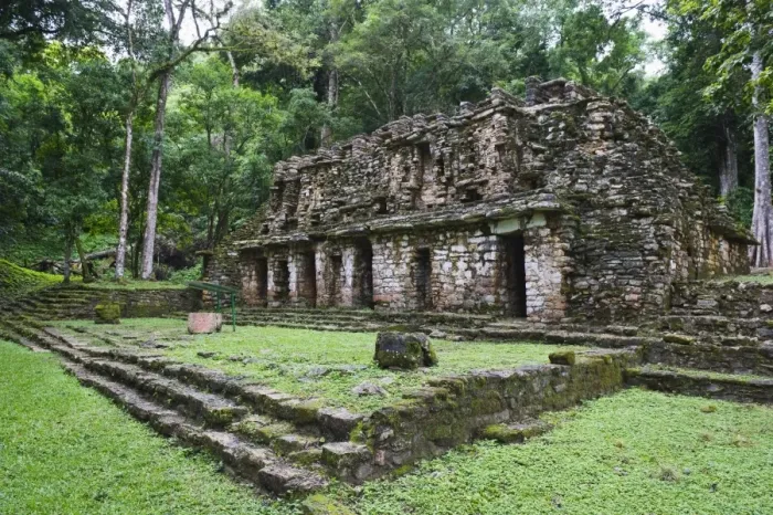Framed Print : Mayan ruins, Yaxchilan, Chiapas state, Mexico, North America Framed Print : Mayan ruins, Yaxchilan, Chiapas state, Mexico, North America