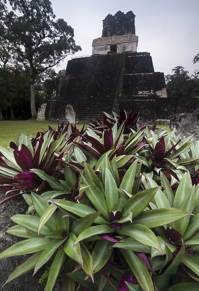 Mayan structure, Tikal, UNESCO World Heritage Site, Guatemala, Central America
