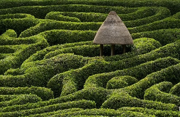 A maze in Glendurgan Garden on the Lizard peninsula in Cornwall, England, United Kingdom