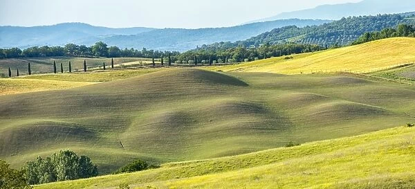Meadows, Asciano, Val d Orcia (Orcia Valley), UNESCO World Heritage Site, Tuscany