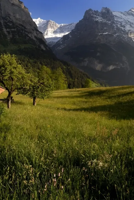Framed Print : Meadows and mountains Framed Print : Meadows and mountains