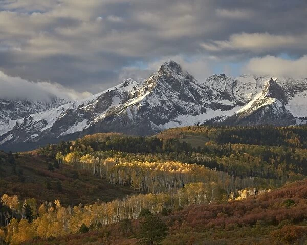 Mears Peak with snow and yellow aspens in the fall, Uncompahgre National Forest, Colorado, United States of America, North America