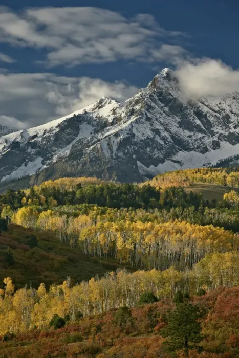 Framed Print : Mears Peak with snow and yellow aspens in the fall, Uncompahgre National Forest, Colorado, United States of America, North America Framed Print : Mears Peak with snow and yellow aspens in the fall, Uncompahgre National Forest, Colorado, United States of America, North America