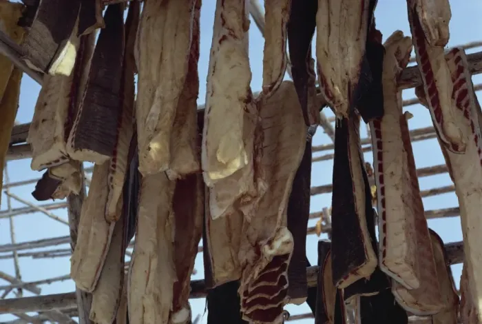 Framed Print : Meat hanging to dry, Greenland, Polar Regions Framed Print : Meat hanging to dry, Greenland, Polar Regions