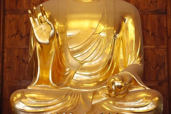Detail of the medicine bowl, Bhaisajya Buddha (Medicine Buddha) (Buddha of Healing)