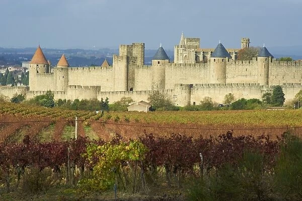 Medieval city of Carcassonne, UNESCO World Heritage Site, Aude, Languedoc-Roussillon