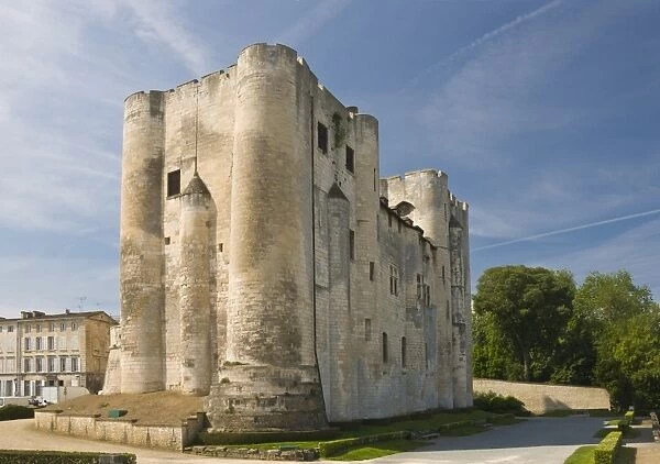 Medieval donjon in the centre of Niort, Deux-Sevres, Poitou Charentes, France, Europe