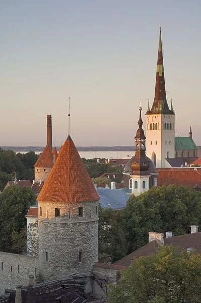 Medieval town walls and spire of St. Olavs church at dusk, Tallinn