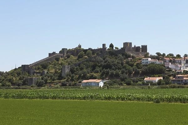 The medieval walled city rises above rice fields at Montemor-o-Velho, Beira Litoral