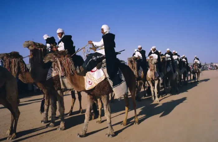 Framed Print : Meharistes (camel riders) Tataouine Oasis Framed Print : Meharistes (camel riders) Tataouine Oasis
