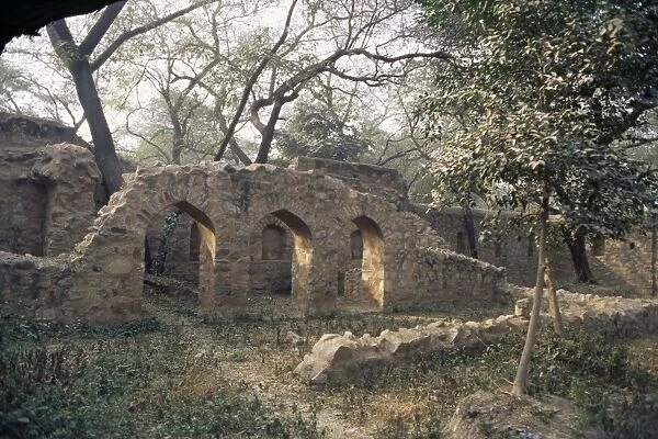 The Mehrauli Archaeological Park