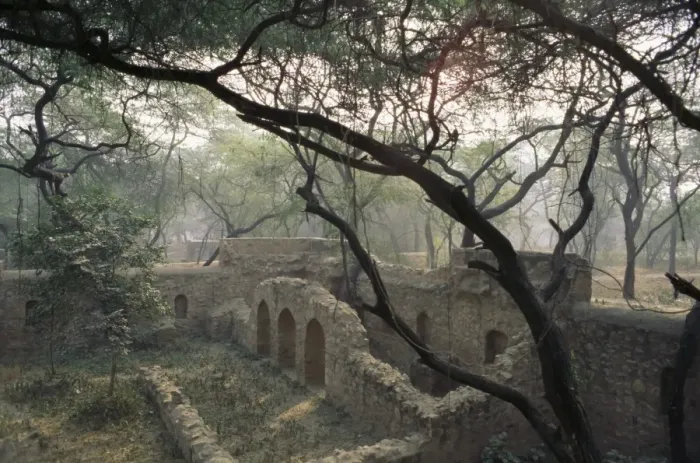 Framed Print : The Mehrauli Archaeological Park Framed Print : The Mehrauli Archaeological Park