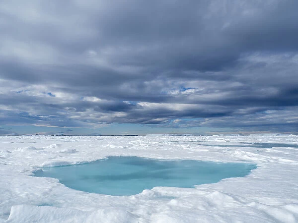 A melt water pool on first year sea ice near Snow Hill Island, Weddell Sea, Antarctica, Polar Regions