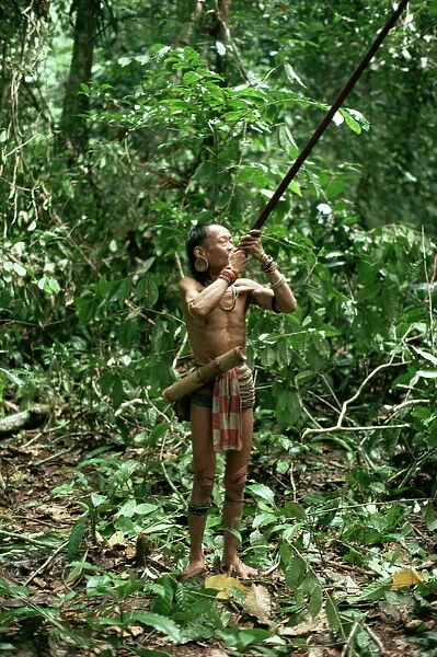 Member of the Penan tribe with blowpipe