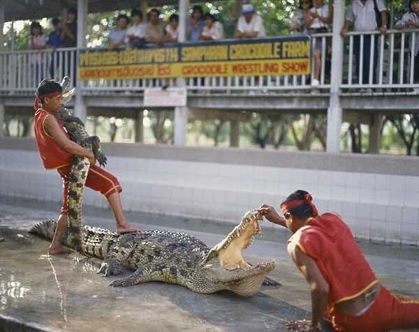 Two men exhibit crocodiles to tourists at a crocodile