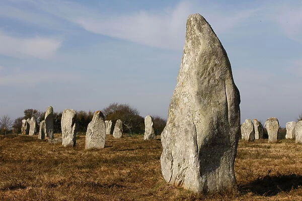 Menec menhirs in Carnac, Morbihan, Brittany, France, Europe