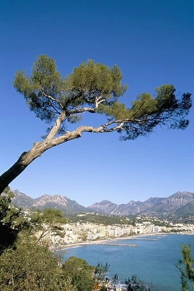 Menton, Alpes-Maritimes, Cote d Azur, Provence, French Riviera, France