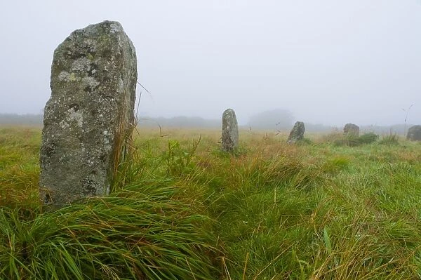 Merry Maidens stone circle, Cornwall, England, United Kingdom, Europe