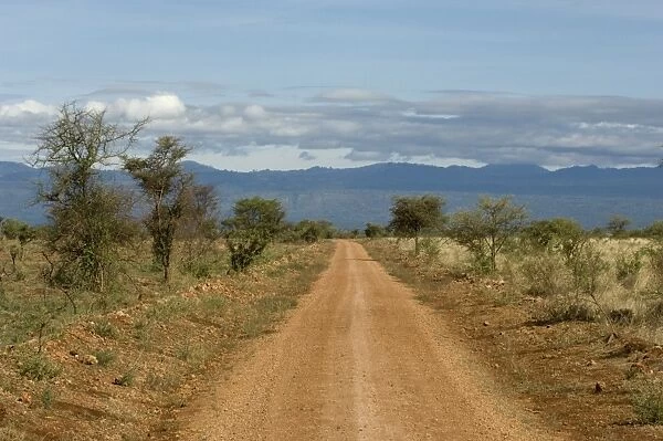 Meru National Park, Kenya, East Africa, Africa