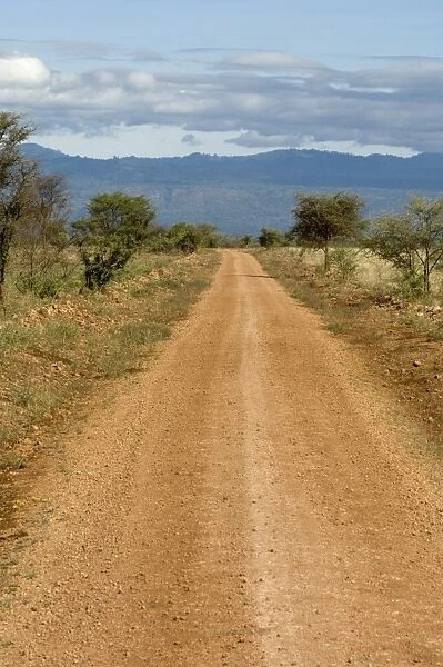 Meru National Park, Kenya, East Africa, Africa