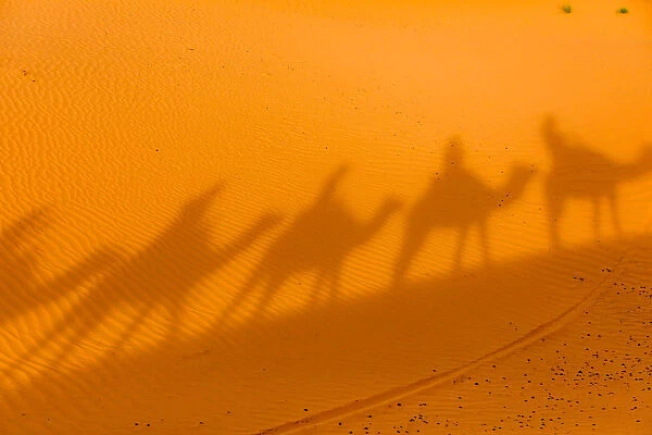 Merzouga Desert, Morocco, North Africa, Africa